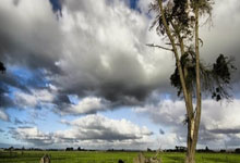 贝博体育app下载-关于转会期亚冠焦点战，拜仁慕尼黑手感冰凉，话题不断，临场指挥获称赞的信息-贝博体育app下载